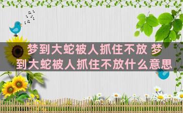 梦到大蛇被人抓住不放 梦到大蛇被人抓住不放什么意思